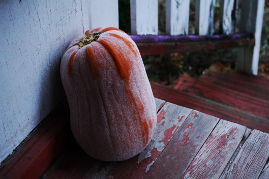 pumpkin-frost-left_reduced